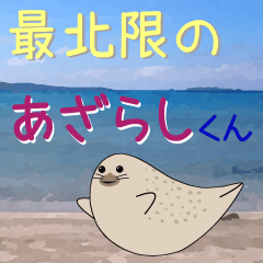 The Seals at the northernmost of Japan