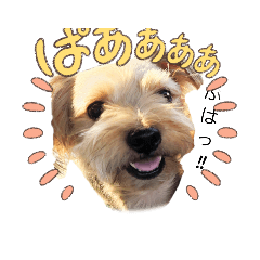kosuke_20220917220842