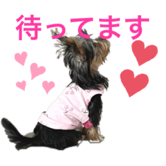 KONATSU_20220917221611