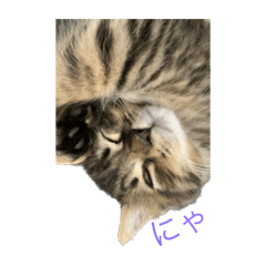 MurataYuuya_20220917232007