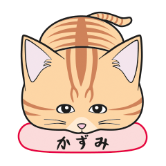 [Only for Kazumi](orange tabby)