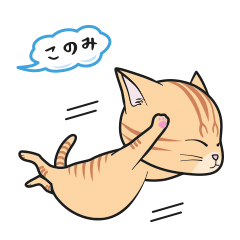 [Only for Konomi](orange tabby)