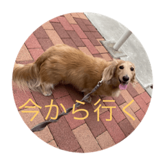 dan_20220918135549