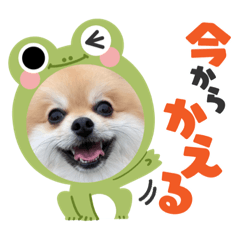 SAORI_20220918134302