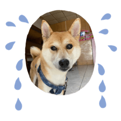 Lulu part1