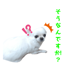 misa_20220918072557
