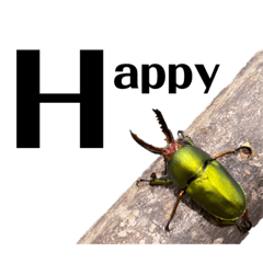 nnk&is_20220918075345