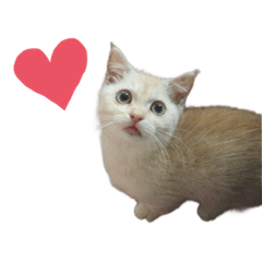 Yukari_20220918171821