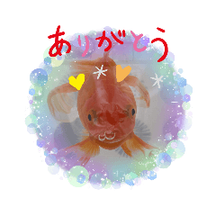 Emily_20220918213018