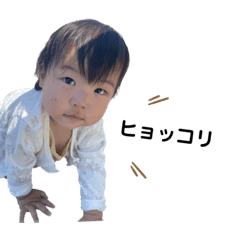 Hikari_20220918181553