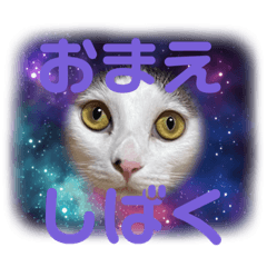 yuka_20220918133727