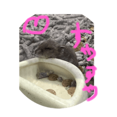 REEEMA_20220919080840