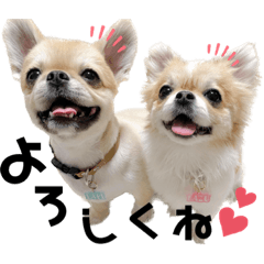 tomomi_20220919072107