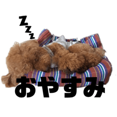 saori_20220918230000