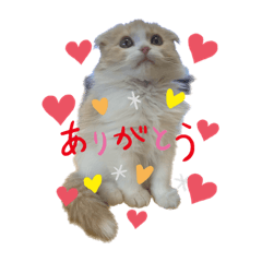 monaka_20220919091434