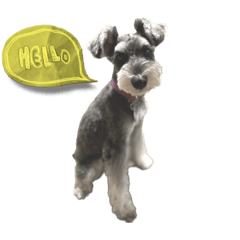 1chan_20220919111802