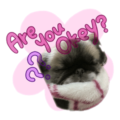 Rina._20220919121514 – LINE stickers | LINE STORE