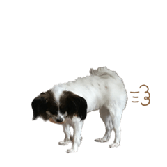 seira_20220919121956