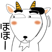 Cute goat everyday for family