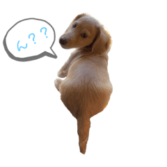 shiho_20220919135554