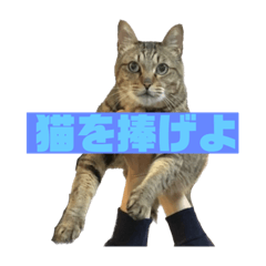 Sei_20220919125351