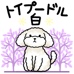 Toy poodle stamp every day white
