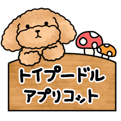 Toy poodle stamp every day apricot