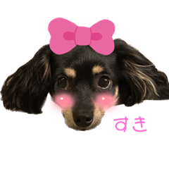 hana_20220919144136