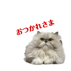 yuka_20220919103205