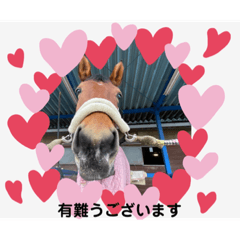 pmwawahime