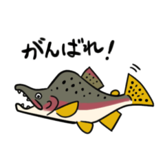 日本で暮らす淡水魚たちなど
