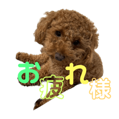 arisa_20220919145556