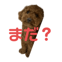 arisa_20220919145956