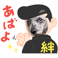 Yukari_20220919161142