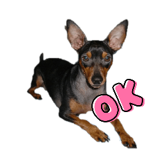 tomomi_20220919155651