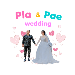 PLAPAE Wedding