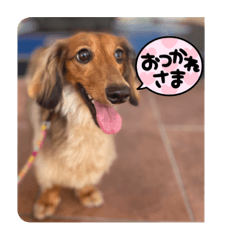 Hana_20220919175135