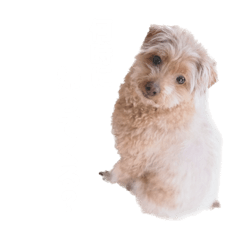 yun_20220919192015