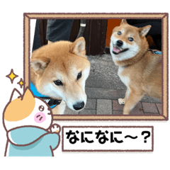 sachiko_20220919192138