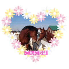 rose-hime