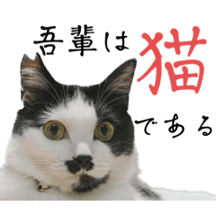 yun_20220919205514