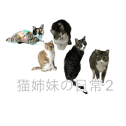 Hinata_20220919202921