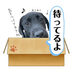 tori_20220919210743