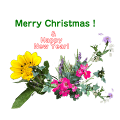 MiChiko_20220919175520