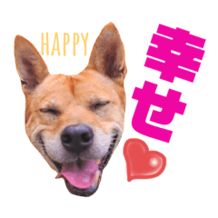 SEN.summer_20220919080635 – LINE stickers | LINE STORE