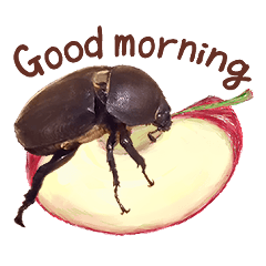 Rhinoceros Beetle  (English)