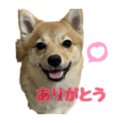 misa_20220919220138