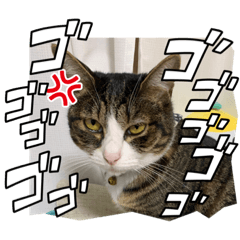 mano_20220919201912