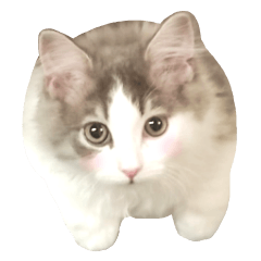 Cheerful cat Aru sticker