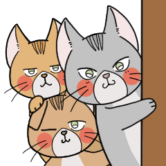 three tabby cats.